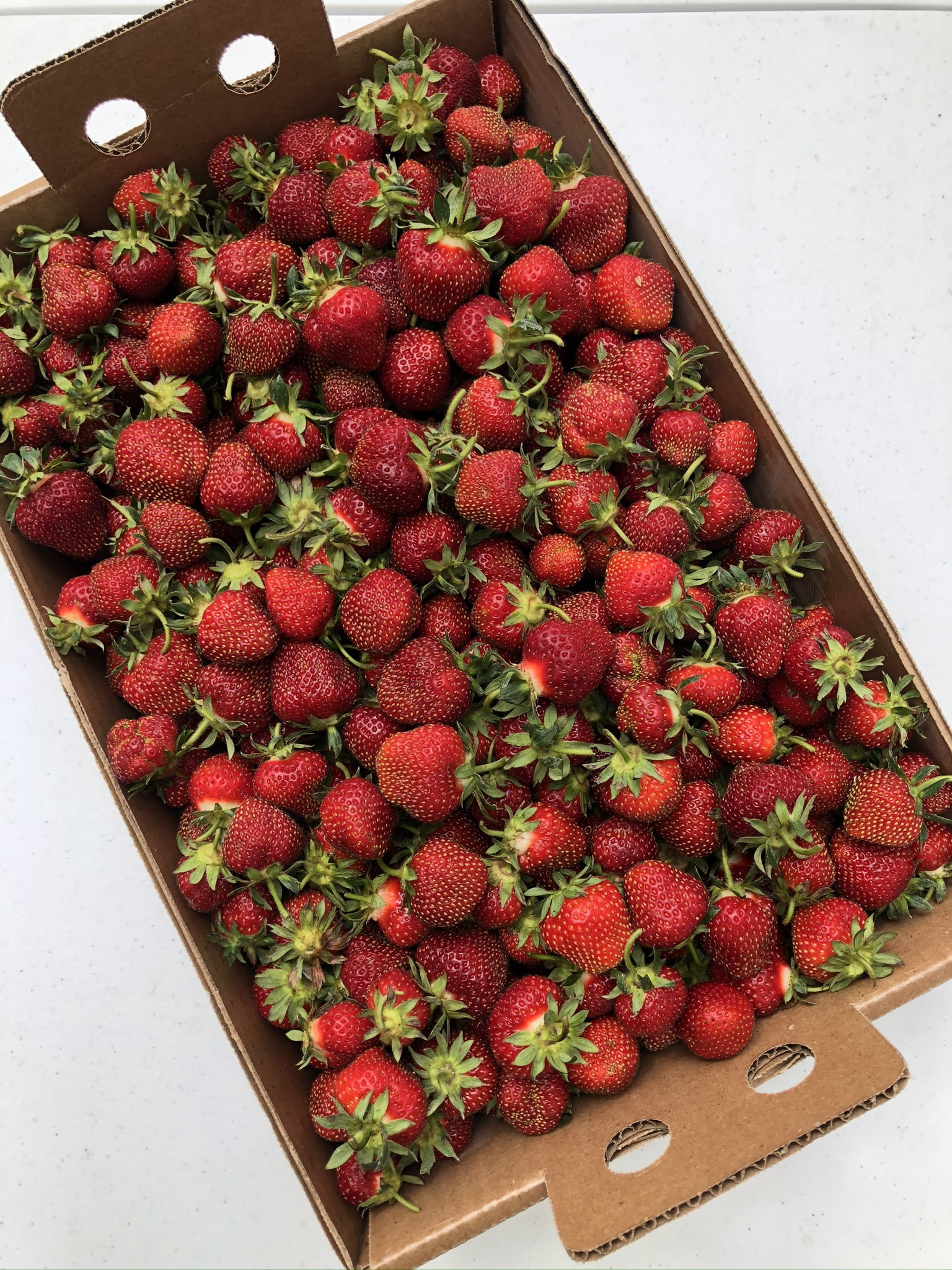 Fresh Strawberries - Order Online & Save