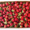 Flat Of Ripe Strawberries from Hilltop Harvest