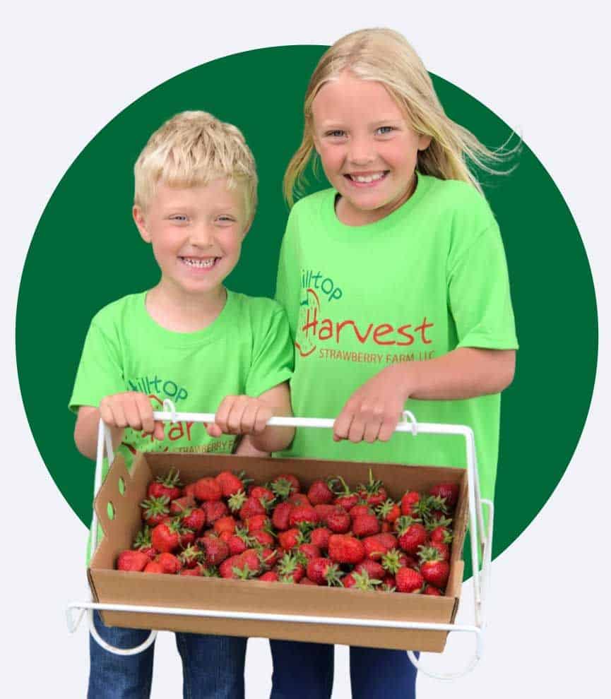 Hilltop Harvest Kids With Strawberries