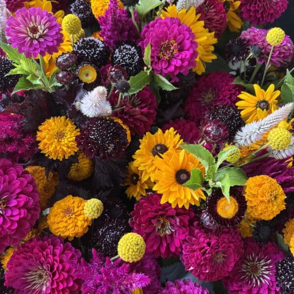 summer bouquet subscription