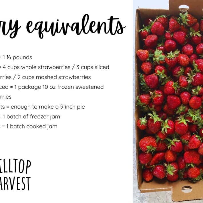 Berry Equivalents Infographic Recipe Card