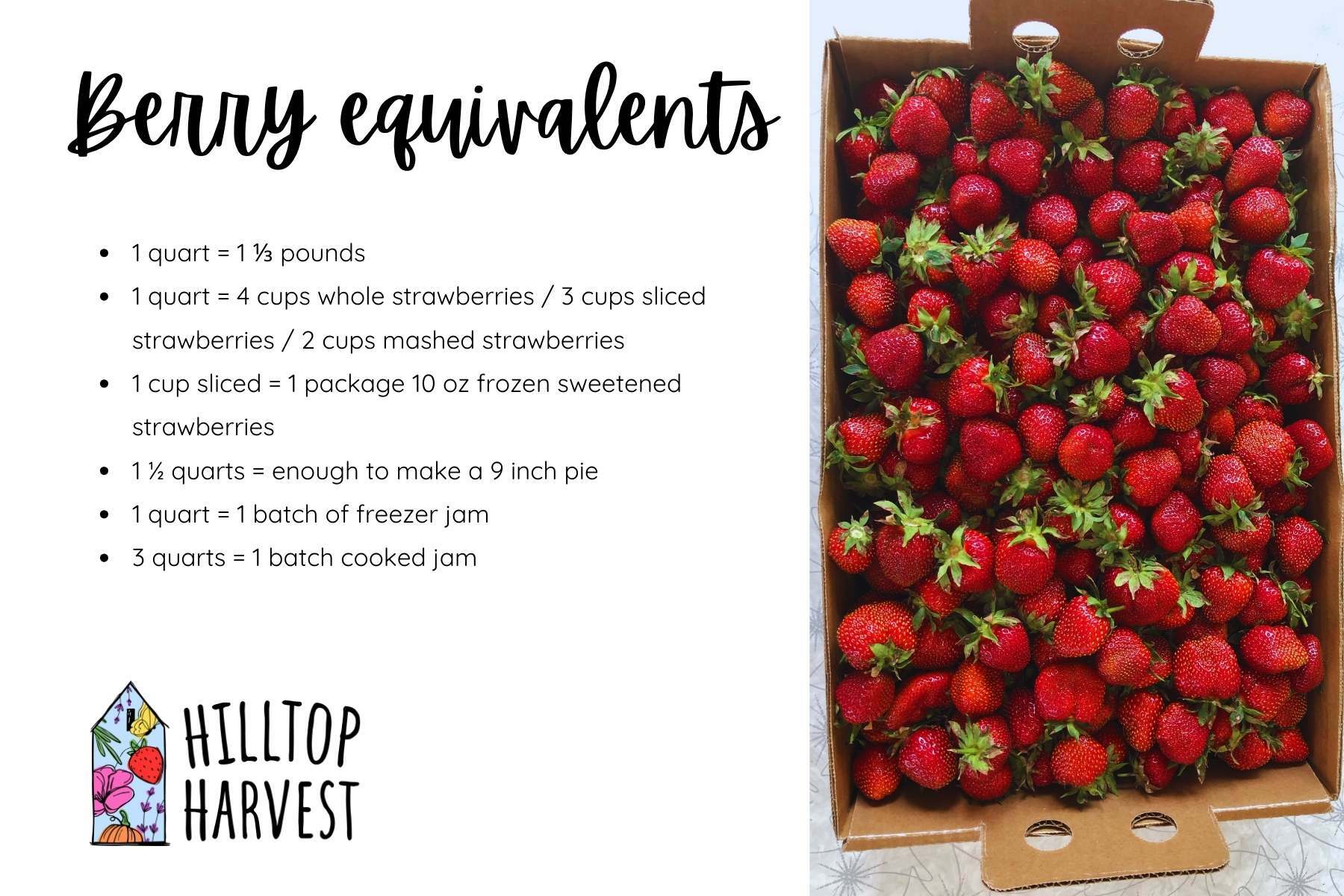 Berry Equivalents Infographic Recipe Card