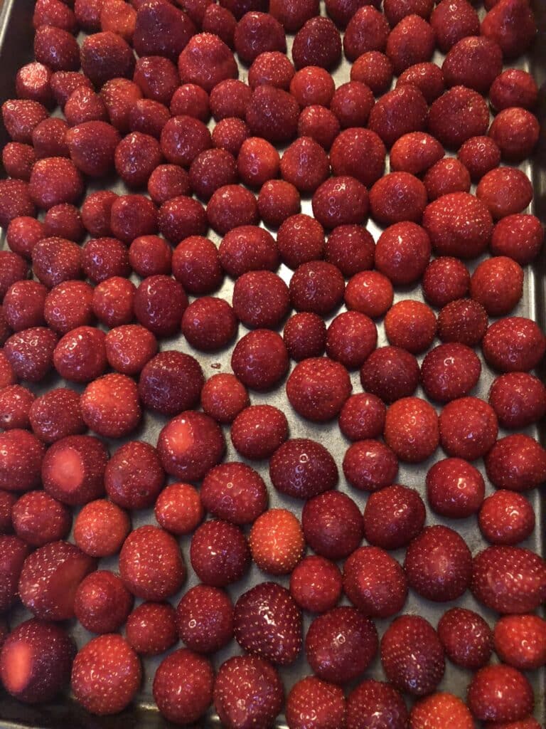 Freezing Berries