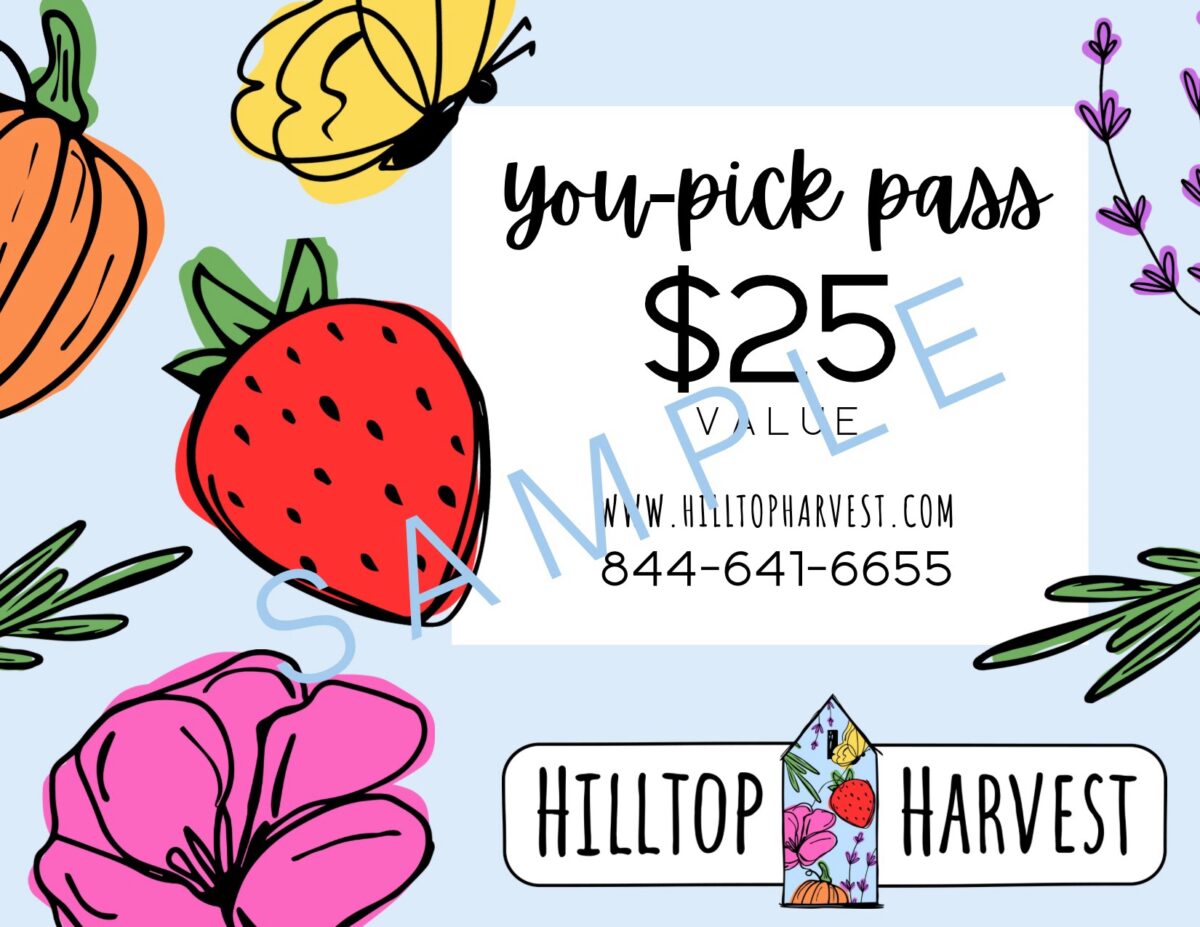 $25 gift certificate