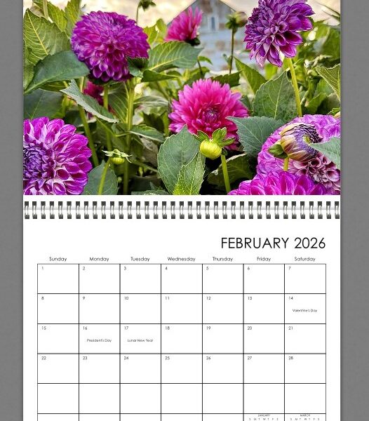 2026 dahlia calender