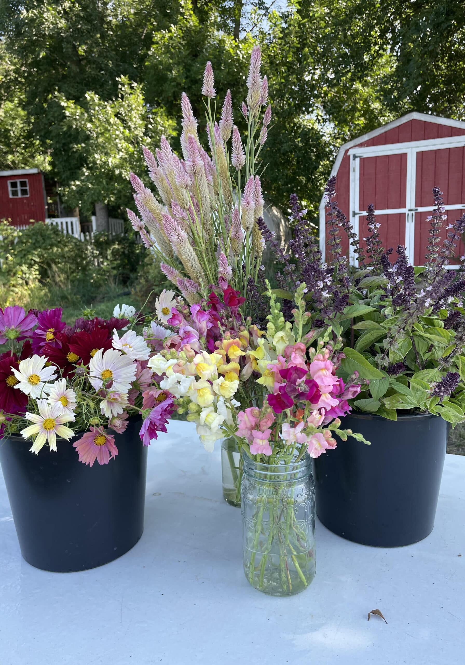 Buckets Of Flowers
