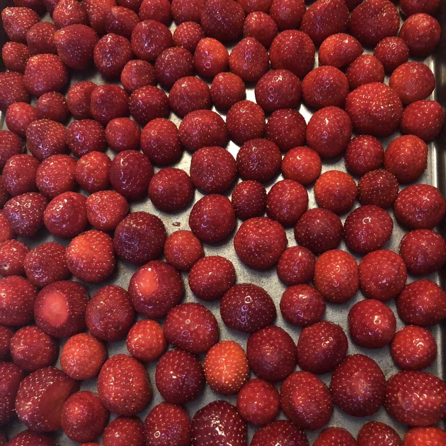 Freezing Berries